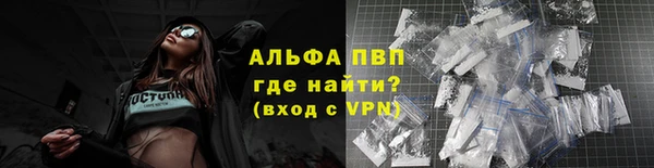 твердый Арсеньев