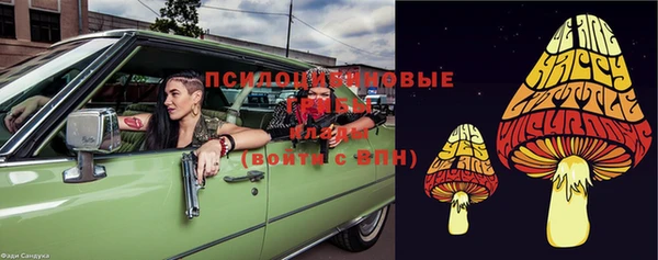 твердый Арсеньев
