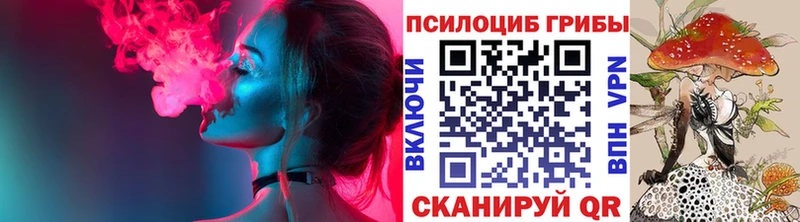 Псилоцибиновые грибы Magic Shrooms  где купить наркотик  Сердобск 