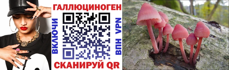 Псилоцибиновые грибы ЛСД Сердобск